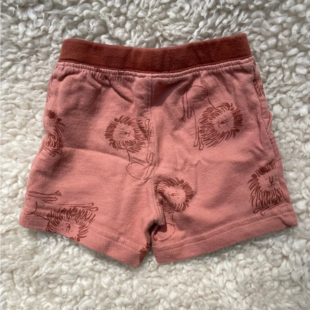 Carters Short Set - Picture 5 of 6